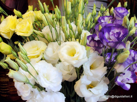 I fiori estivi per matrimoni (giugno-luglio-agosto ...