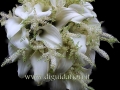 bouquet-da-sposa-8