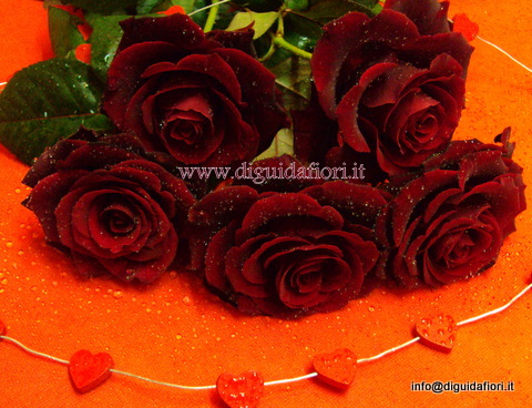 rose rosse